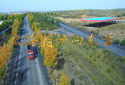 插槽8x插槽视频在线观看